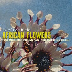 African Flowers